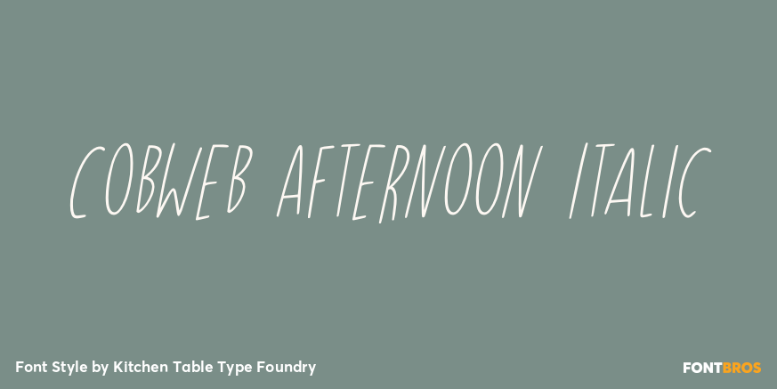 Cobweb Afternoon Italic Font Poster #1