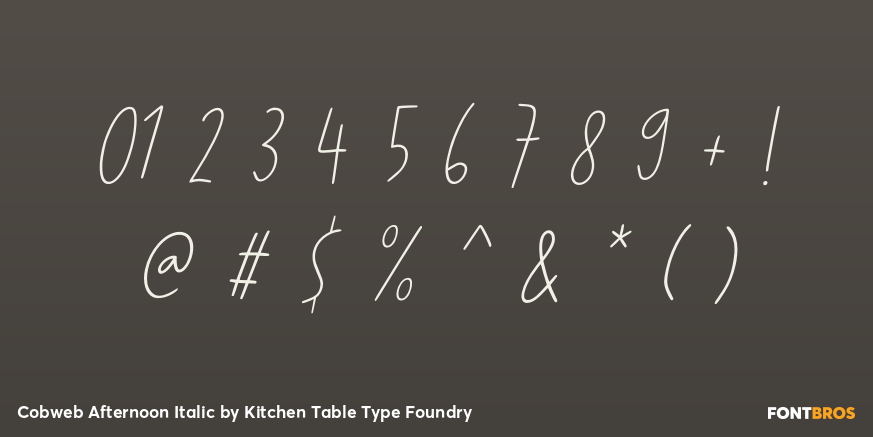 Cobweb Afternoon Italic Font Poster #4