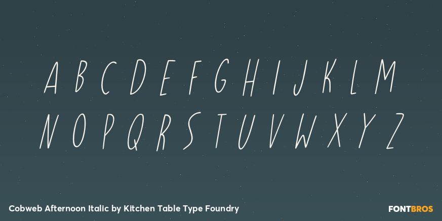 Cobweb Afternoon Italic Font Poster #3