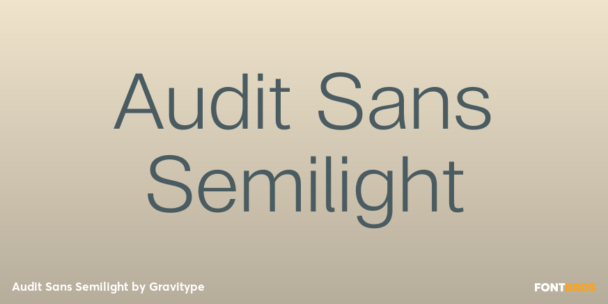 Audit Sans Semilight Poster