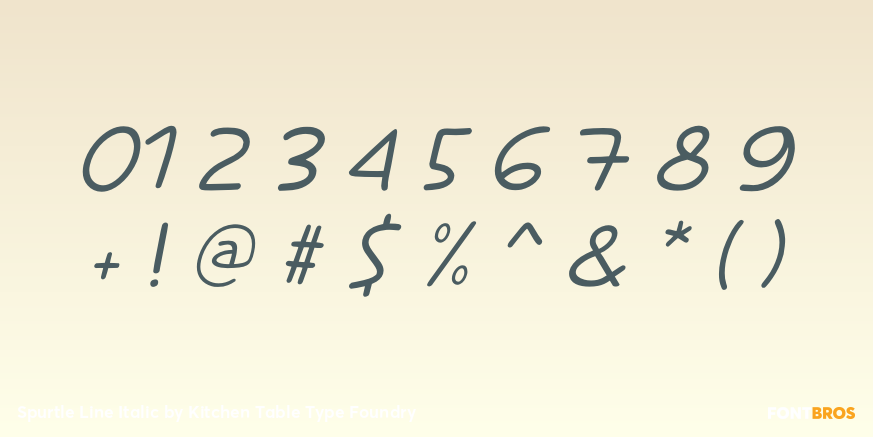 Spurtle Line Italic Font Poster #4