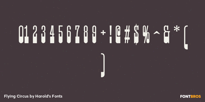 Flying Circus Font Poster #4