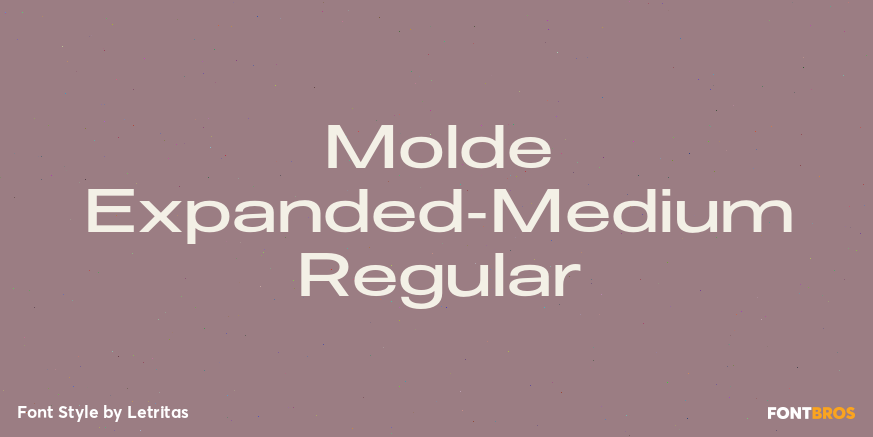 Molde Expanded-Medium Regular Font Poster #1