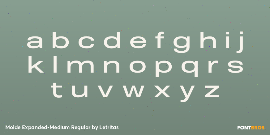 Molde Expanded-Medium Regular Font Poster #3