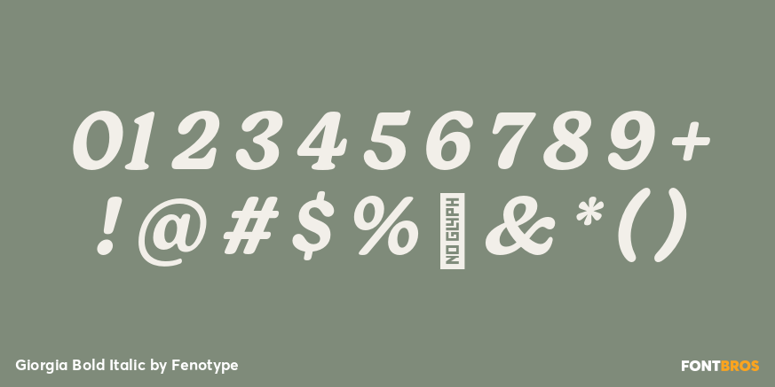 Giorgia Bold Italic Font Poster #4