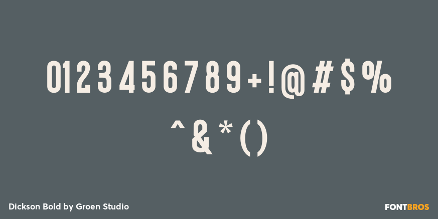 Dickson Bold Font Poster #4