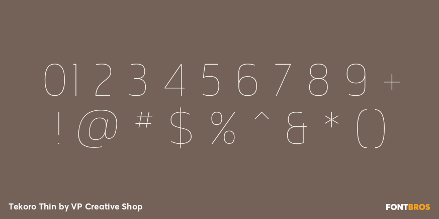 Tekoro Thin Font Poster #4