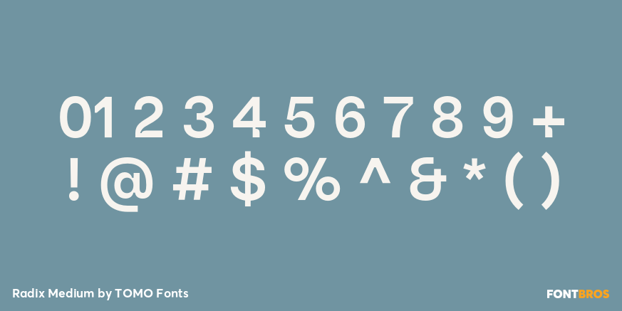 Radix Medium Font Poster #4