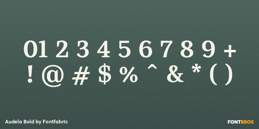 Audela Bold Font Poster #4