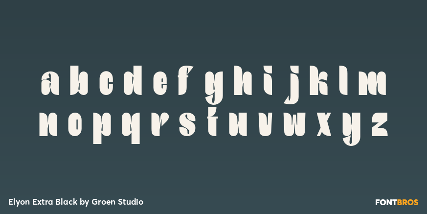 Elyon Extra Black Font Poster #3