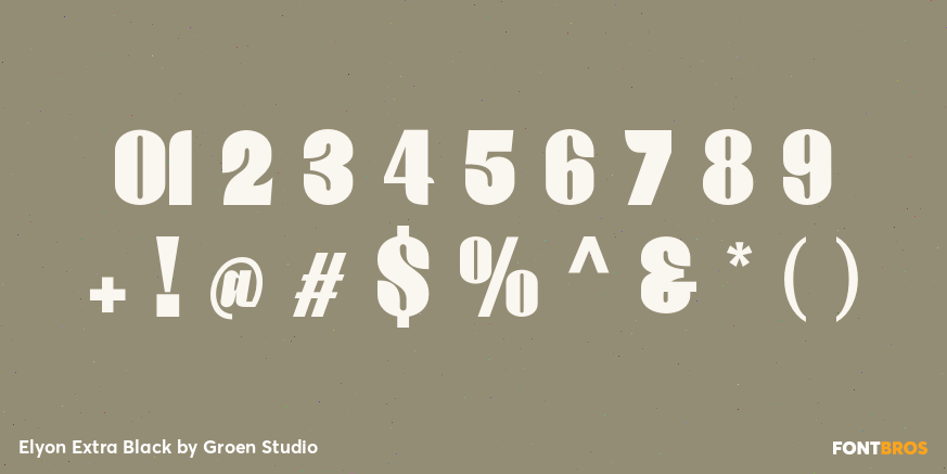 Elyon Extra Black Font Poster #4