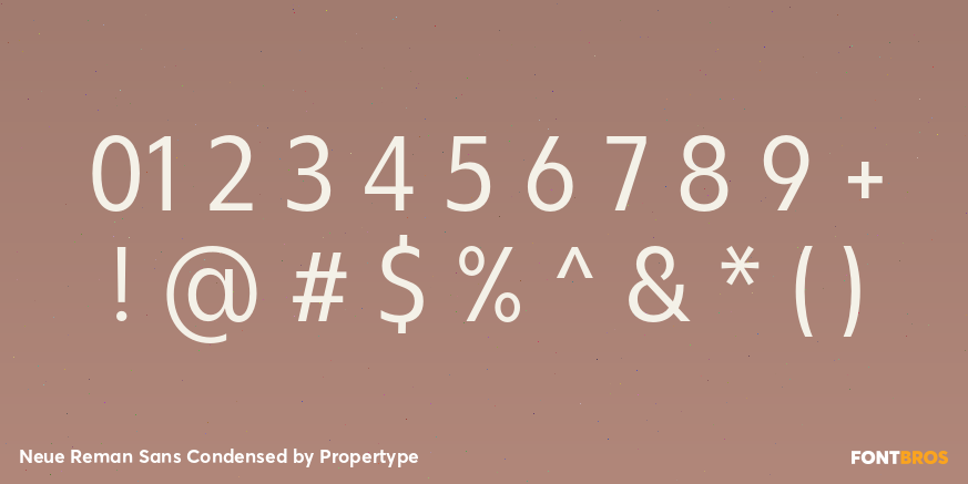 Neue Reman Sans Condensed Font Poster #4
