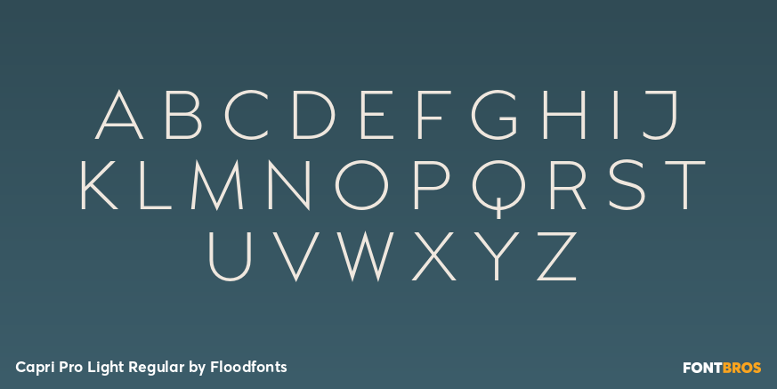 Capri Pro Light Regular Font Poster #2
