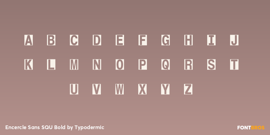 Encercle Sans SQU Bold Font Poster #3