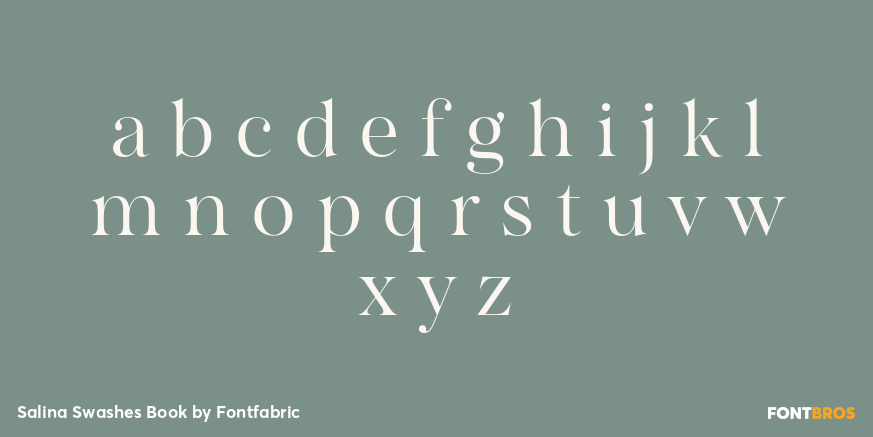 Salina Swashes Book Font Poster #3
