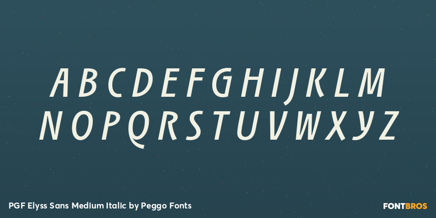 PGF Elyss Sans Medium Italic Font Poster #2
