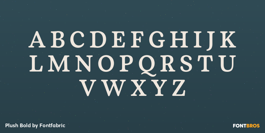 Plush Bold Font Poster #1