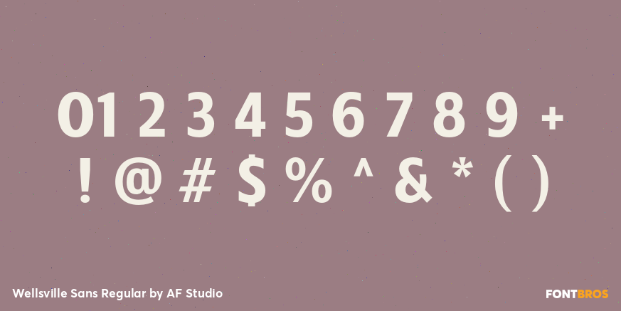 Wellsville Sans Regular Font Poster #4