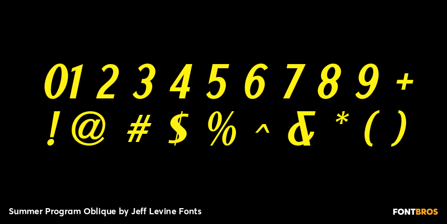 Summer Program Oblique Font Poster #4