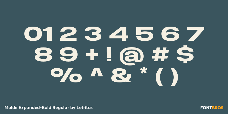 Molde Expanded-Bold Regular Font Poster #4