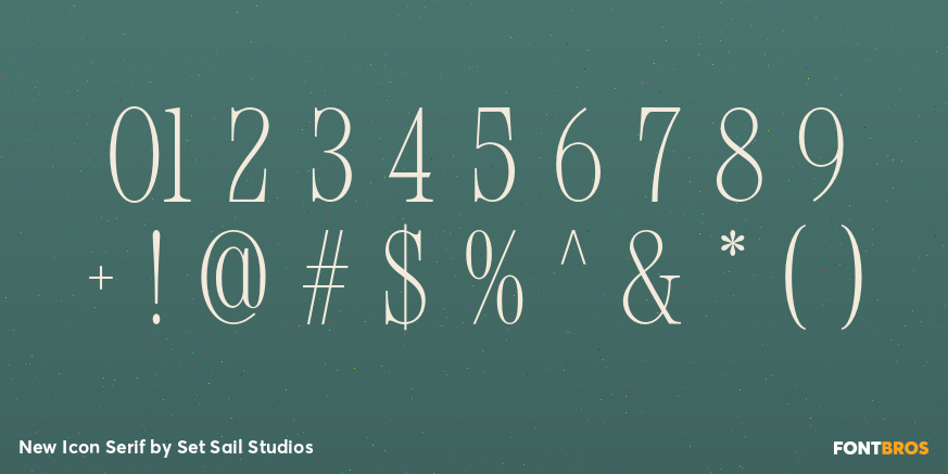 New Icon Serif Font Poster #4