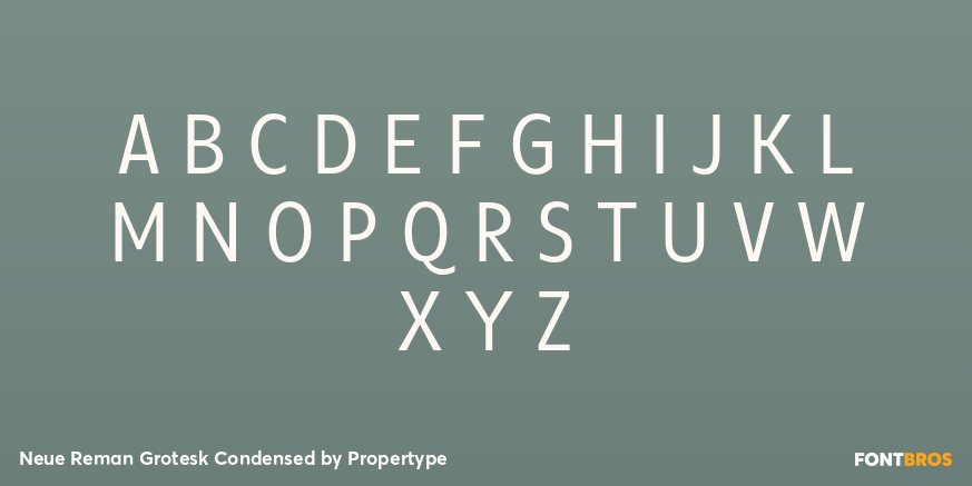 Neue Reman Grotesk Condensed Font Poster #2