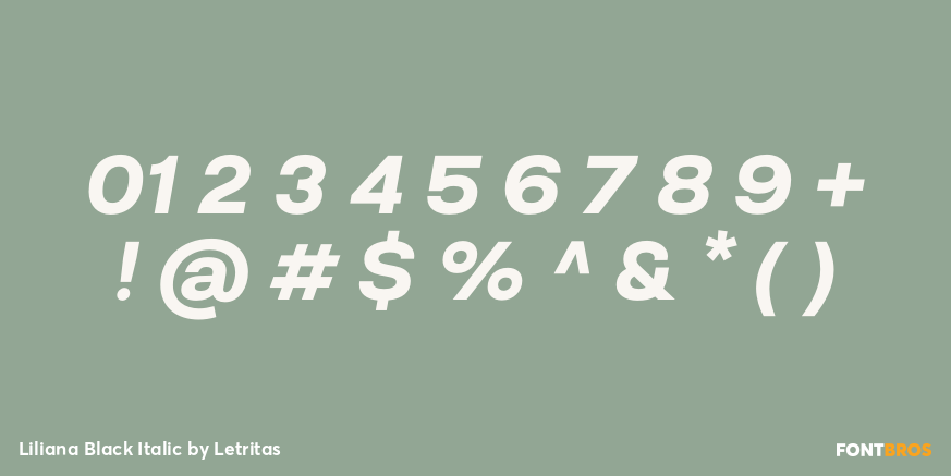 Liliana Black Italic Font Poster #4