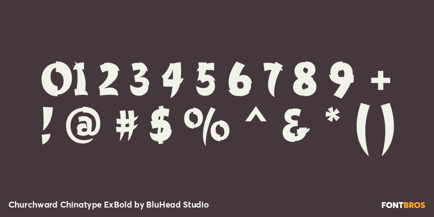Churchward Chinatype ExBold Font Poster #1
