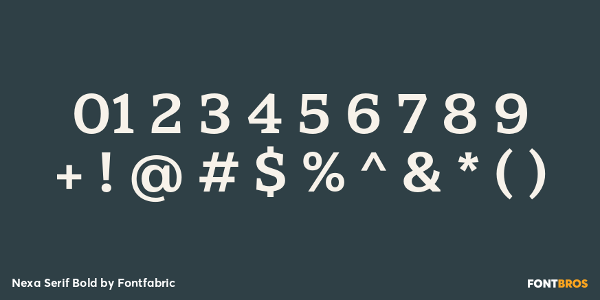 Nexa Serif Bold Font Poster #4