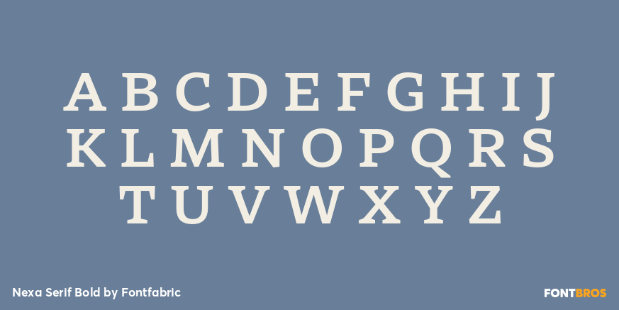 Nexa Serif Bold Font Poster #2