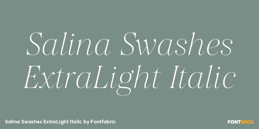 Salina Swashes ExtraLight Italic Poster