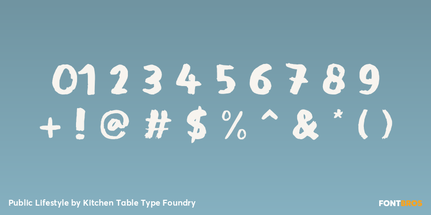 Public Lifestyle Font Poster #4