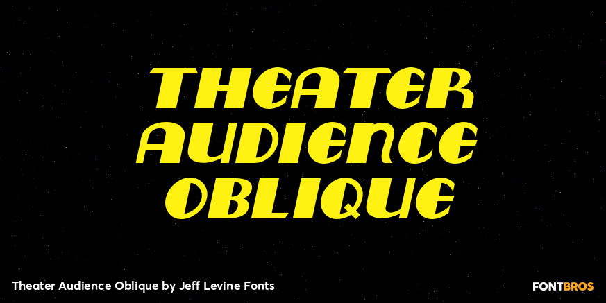 Theater Audience Oblique Poster