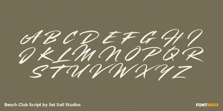 Beach Club Script Font Poster #2