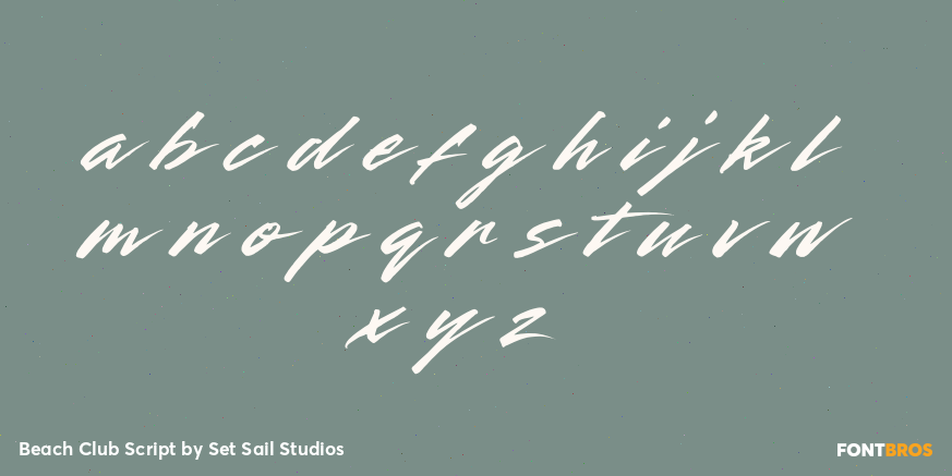 Beach Club Script Font Poster #3