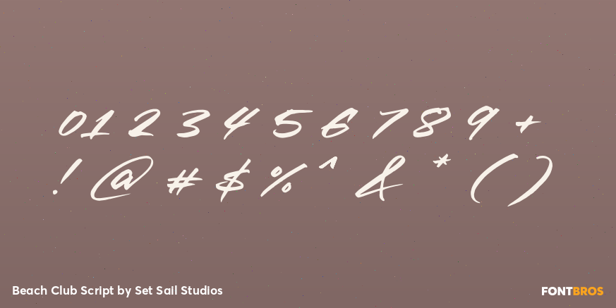 Beach Club Script Font Poster #4