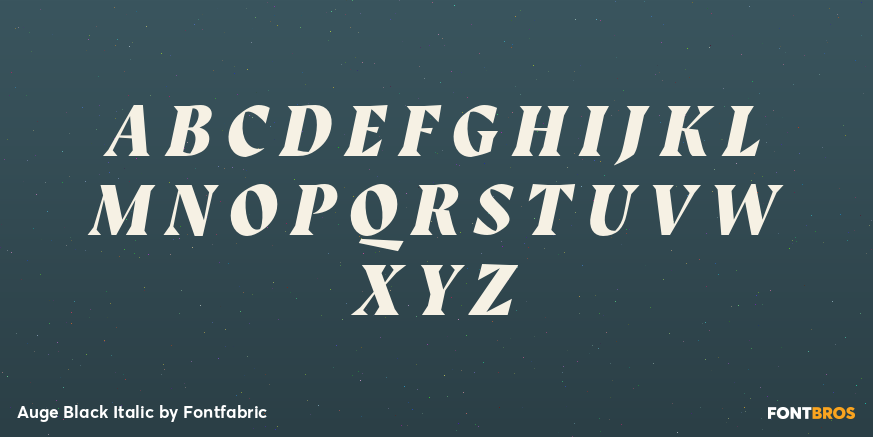Auge Black Italic Font Poster #2