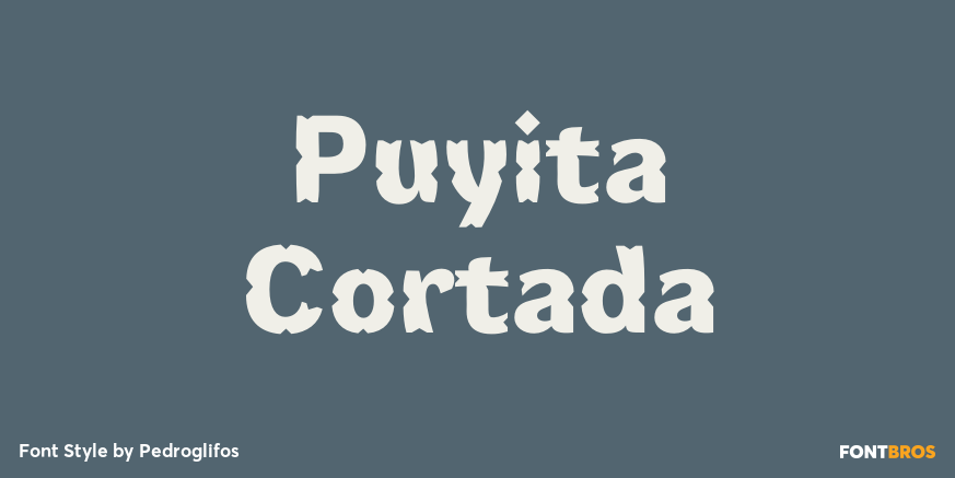 Puyita Cortada Poster