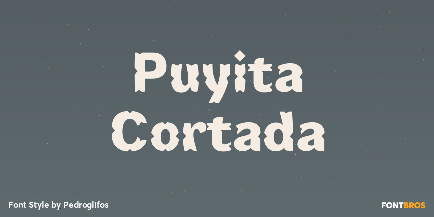 Puyita Cortada Poster