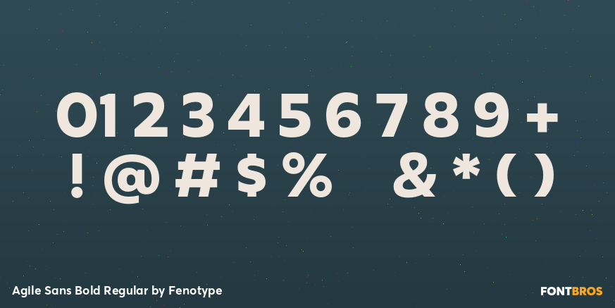 Agile Sans Bold Regular Font Poster #1