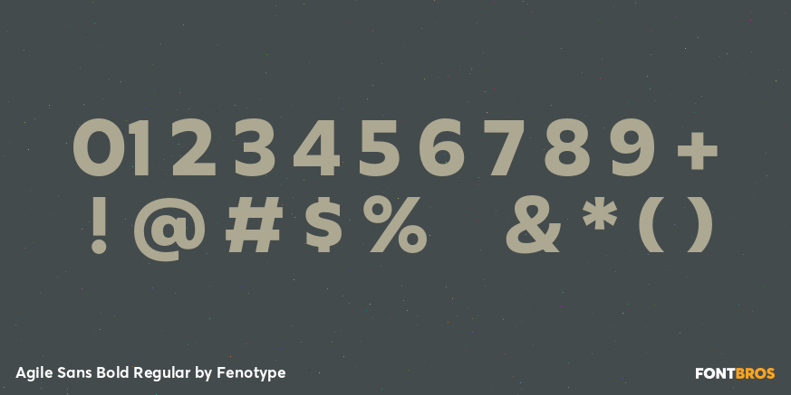 Agile Sans Bold Regular Font Poster #4