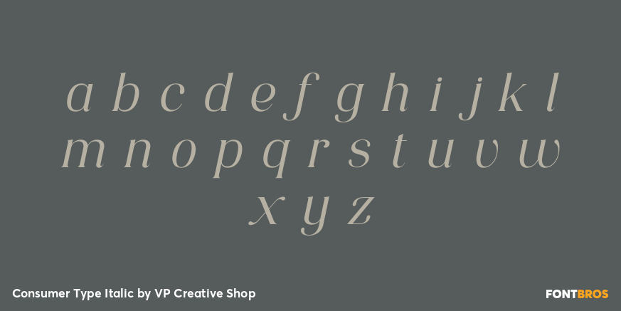 Consumer Type Italic Font Poster #3