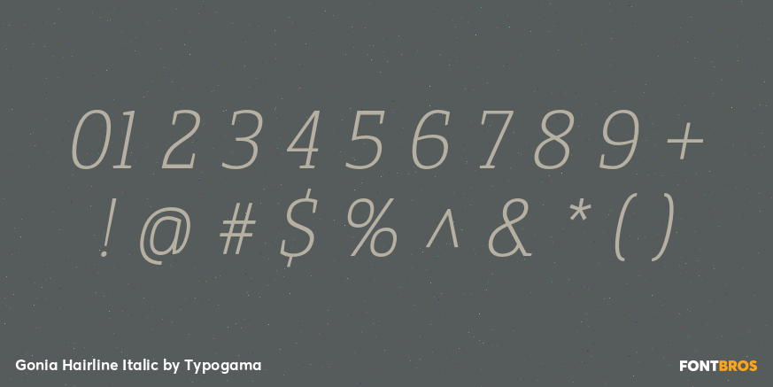 Gonia Hairline Italic Font Poster #4