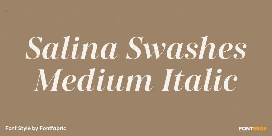 Salina Swashes Medium Italic Poster