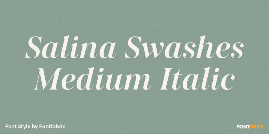 Salina Swashes Medium Italic Poster