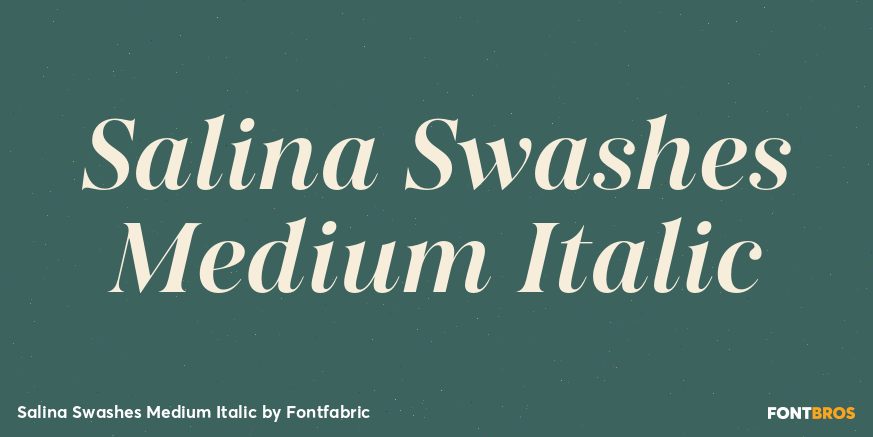 Salina Swashes Medium Italic Poster