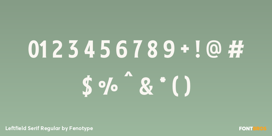 Leftfield Serif Regular Font Poster #1