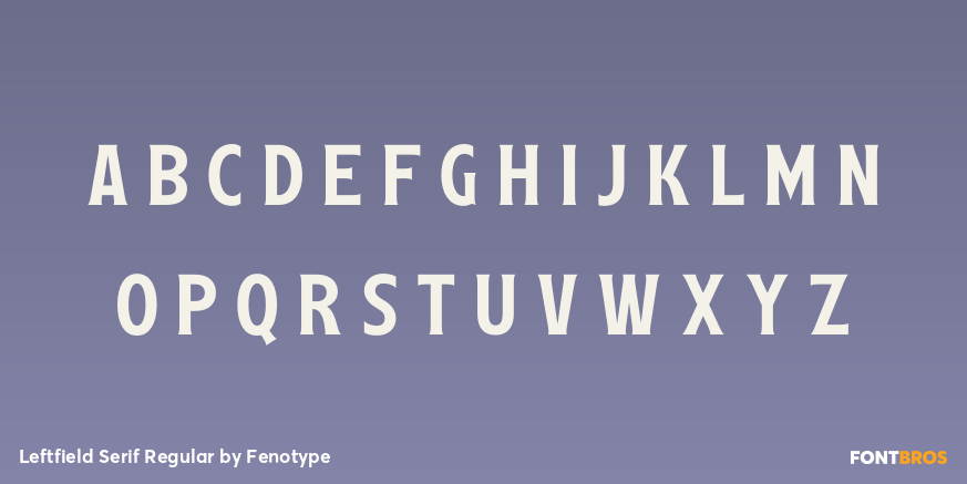 Leftfield Serif Regular Font Poster #3