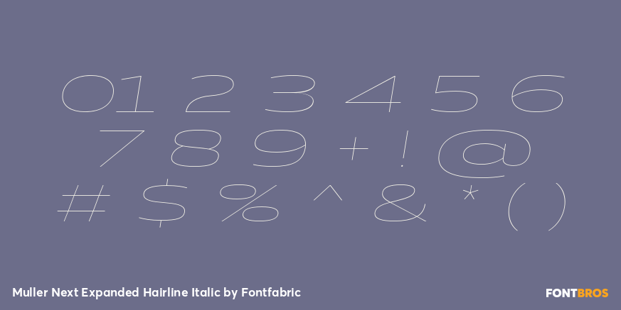 Muller Next Expanded Hairline Italic Font Poster #4