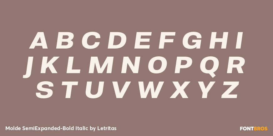 Molde SemiExpanded-Bold Italic Font Poster #2